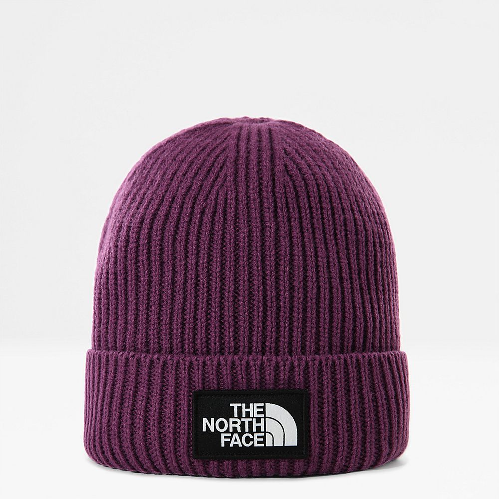 The North Face Beanies Mens Australia - The North Face Tnf Logo Box Cuffed Purple (ZNF-251694)